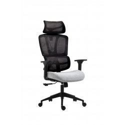 Fauteuil ERGOPRO – Noir & Gris ergonomique design