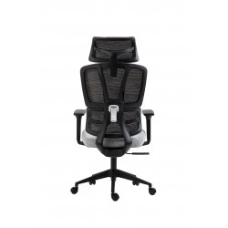 Fauteuil ERGOPRO – Noir & Gris ergonomique design