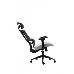 Fauteuil ERGOPRO – Noir & Gris ergonomique design