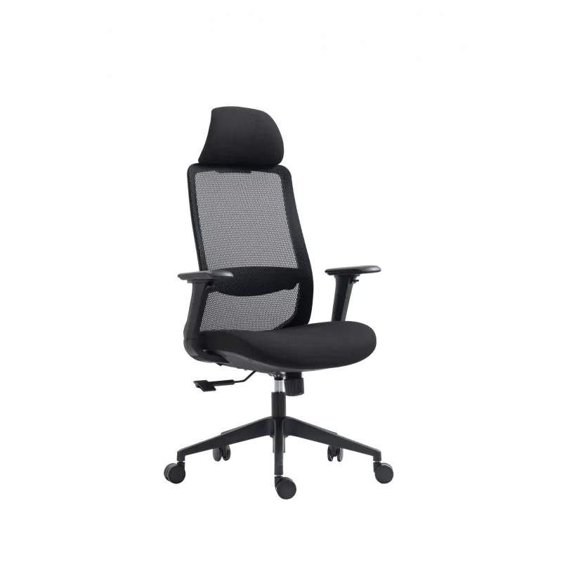 Fauteuil ERGOMAX – Noir Carbone ergonomique design
