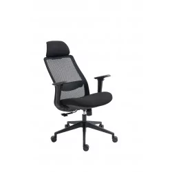 Fauteuil ERGOMAX – Noir Carbone ergonomique design