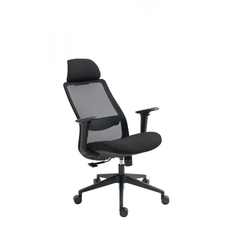 Fauteuil ERGOMAX – Noir Carbone ergonomique design