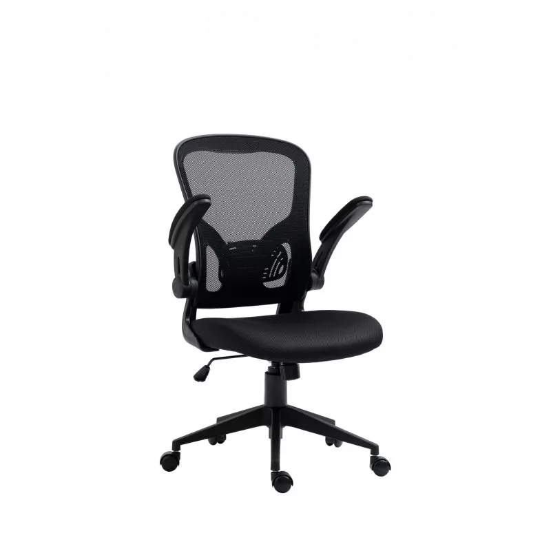 Fauteuil FLEXO – Ergonomique & accoudoirs relevables