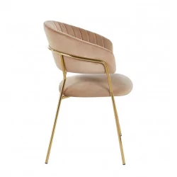 Chaise Alice velours cappuccino – Élégance dorée Golddeco