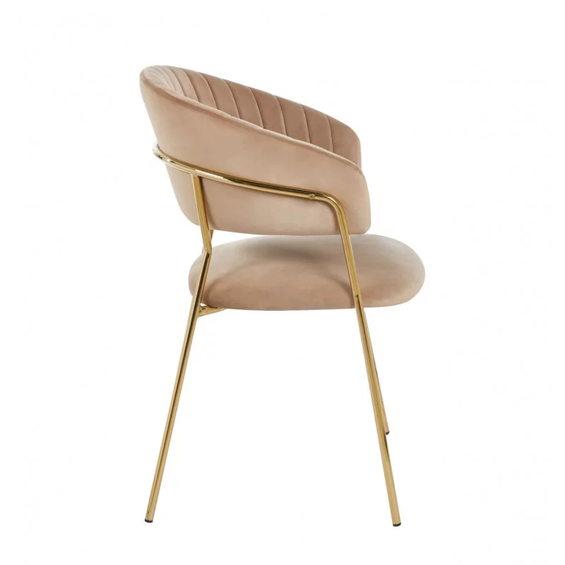 Chaise Alice velours cappuccino – Élégance dorée Golddeco